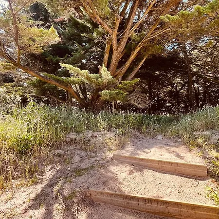 Maison Hirondelles, Piscine Et Foret *