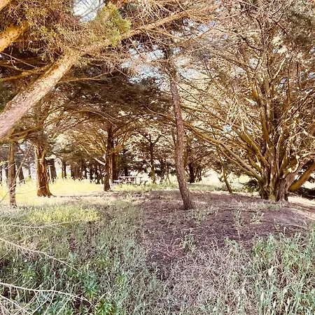 Maison Hirondelles, Piscine Et Foret Dom wakacyjny *