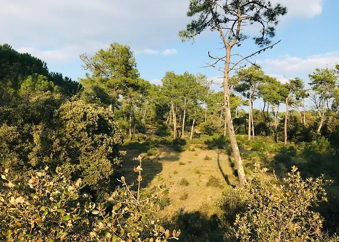 펜션 Maison Hirondelles, Piscine Et Foret *