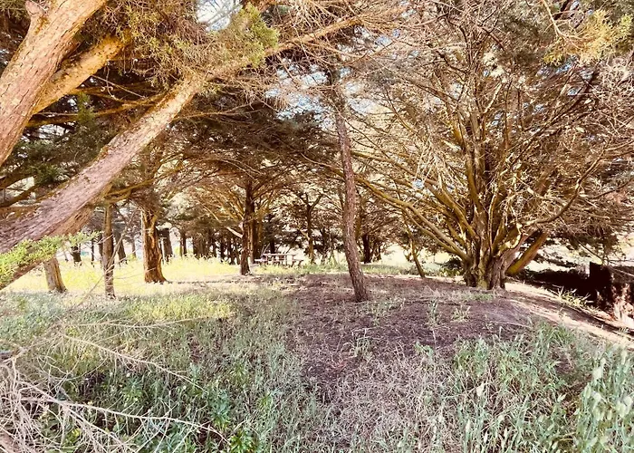 Maison Hirondelles, Piscine Et Foret 펜션 *